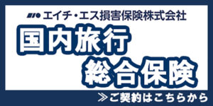 国内旅行総合保険